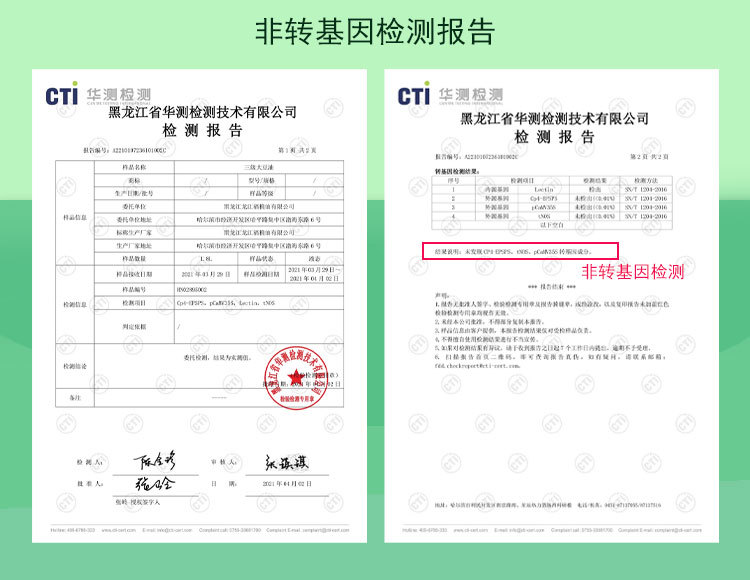 三级非转基因报告