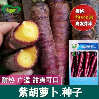 四季奶油草莓种子 农田菜园盆栽种植奶油红草莓籽鲜甜多只