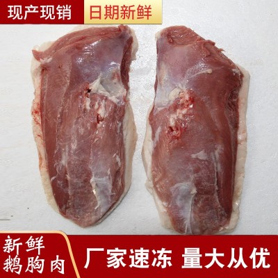 厂家供应 山东新鲜冷冻胸鹅肉 带皮鹅胸肉批发 支持代发