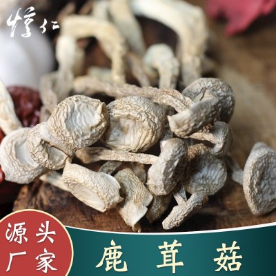 【鹿茸菇】精选新货头茬菇煲汤食材纯手工挑拣鹿茸菇干货500g批发