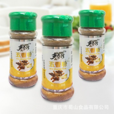 厂家乡奇珍五香粉30g/瓶蒸炖卤煮烧烤调味香料2022新品代发批发