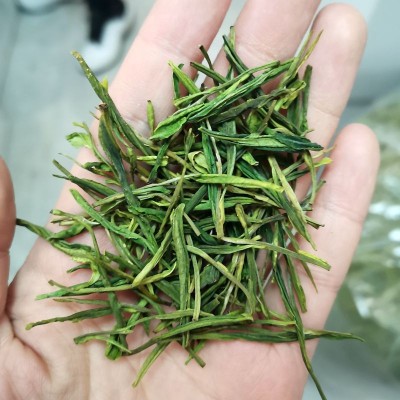 半斤装250克 正宗雨前安吉珍稀白茶春茶新茶 安吉白茶茶厂批发