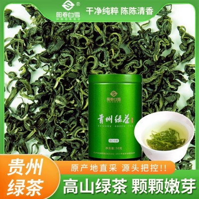 新茶雀舌绿茶贵州春茶绿茶高山云雾浓香型绿茶茶叶罐装50g