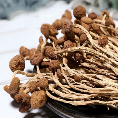 茶树菇大量批发 不开伞新鲜茶薪菇干货农家新货香菇食用菌