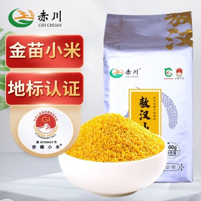 赤川 金苗黄小米新米 地理标志认证（粗粮 小米粥）500g 送礼