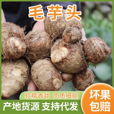 山东奶油芋头一件代发3/5斤整箱软糯牛奶香糯新鲜蔬菜小毛芋头