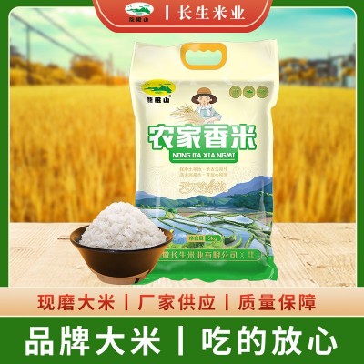 龙眠山农家自产现磨农家香米焖饭炒饭煲仔饭长粒香米10斤袋装批发