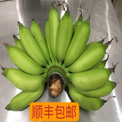 海南本地小米蕉整箱新鲜水果顺丰包邮小香蕉5/10/斤非广西红皮香