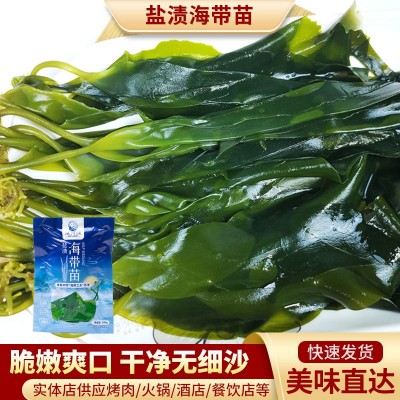 薄嫩海带苗串串店关东煮麻辣烫火锅食材商用批发裙带菜凉拌菜200g