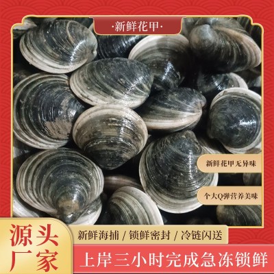 当天新鲜蛤蜊鲜活花甲贝类无沙海鲜水产品1斤20-30只左右本地特产