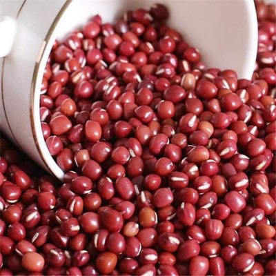 当季新货东北小珍珠红小豆大量现货批发农家自产五谷杂粮一件代发