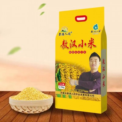 赤峰敖汉小米有机黄金苗小米新米黄小米五谷小米
