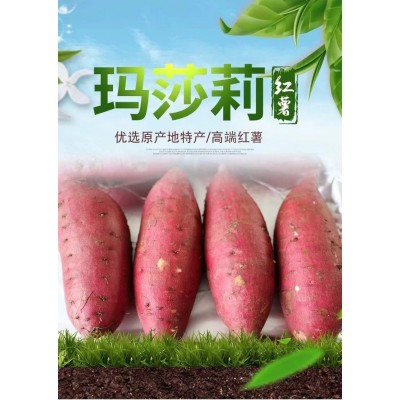 日本玛莎莉红薯高端品种红皮黄肉现挖现卖老少皆宜