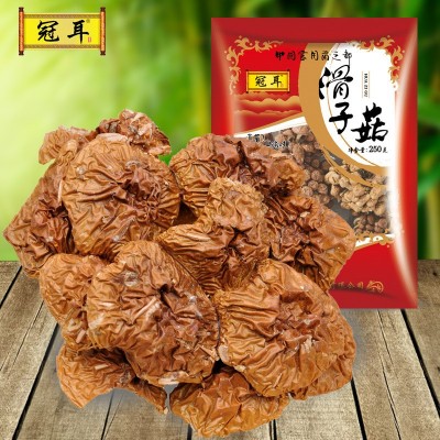 滑子菇干货古田食用菌菇特产山货农产品珍珠菇产地批发可代加工