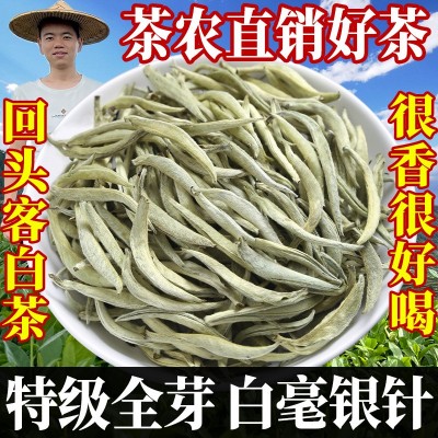 【茶农直销】特级白毫银针茶叶新茶明前首日芽全芽头福建高山白茶