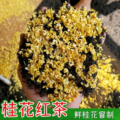 桂花红茶叶2024新茶窨制桂花九曲红梅金骏眉丹桂小种红茶散装批发