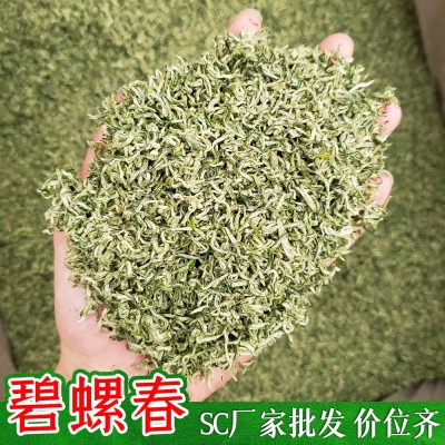 2024新茶明前碧螺春茶 炒青绿茶叶批发货源厂家散装一件代发500g