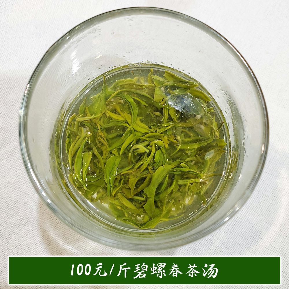 100碧螺春茶汤