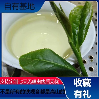 供应安溪铁观音茶叶批发 厂家直销消正 水细 香纯自有茶园 可预订