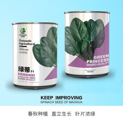 中科茂华蔬菜种子易捆扎半圆叶春秋越冬高产抗病阳台绿蒂400克/盒