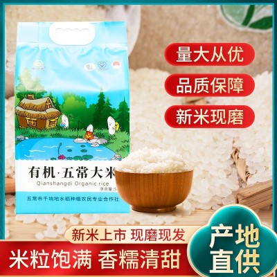 黑龙江大米批发东北特产稻花香米现磨颗粒饱满五常大米5kg真空装