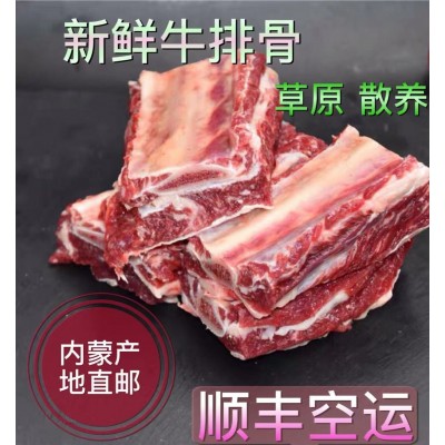 内蒙古特产厂家直供批发新鲜牛排骨牛腩牛肉牛肋条现杀一件代发