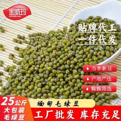 【佛山厂家批发】金威玛缅甸毛绿豆五谷杂粮绿豆沙绿豆糕制作原料