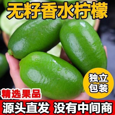 台湾香水柠檬酸多汁新鲜柠檬奶茶专用1-9斤代发包邮整箱批发