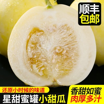 蜜罐甜瓜头茬现摘星甜20小蜜蜂4.5斤新鲜水果香瓜春季3斤甜蜜批发