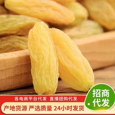 葡萄干大颗粒提子干批发500g 树上黄绿干葡萄蜜饯果干零食葡萄干