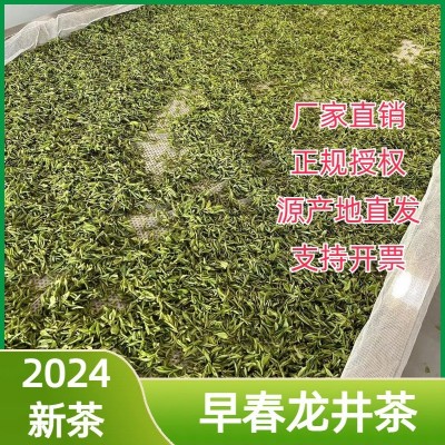 新茶早春龙井茶春茶绿茶茶叶批发厂家直供一件代发