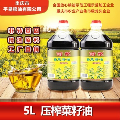 压榨菜籽油5L非转基因食用油批发大桶装植物油厂家直销