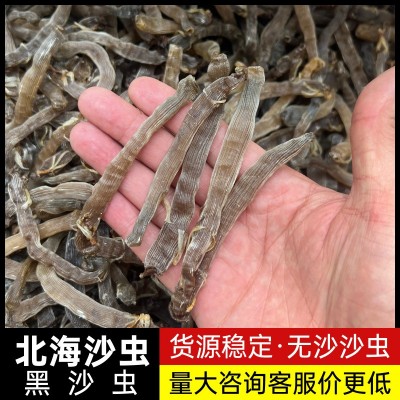 【源头工厂】北海沙虫干大灰沙虫干大黑沙虫干海肠子海鲜干货批发