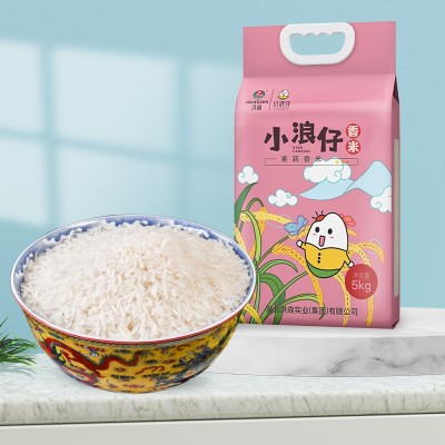 洪森 小浪仔茉莉香米5kg当季新南方籼米10斤丝苗米煲仔饭用米定制