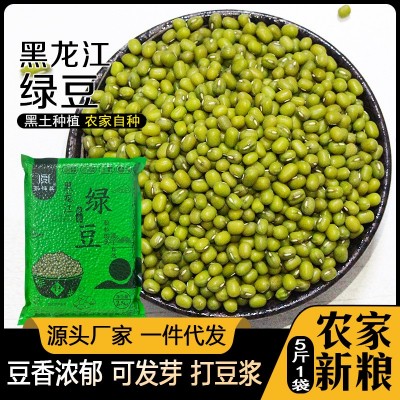 厂家直供零售东北精选绿豆农家自产颗粒饱满绿豆汤生豆芽5斤一袋