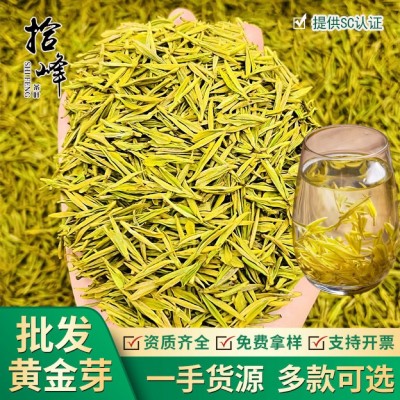 浙江2024年新茶明前茶春茶绿茶安吉工艺浓香型黄金芽茶叶批发散装