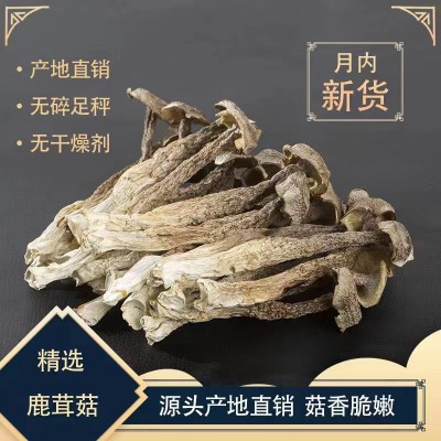 品品鲜厂家直销鹿茸菇500g干货鹿茸菌脆脆菇姑酒店餐饮火锅食材