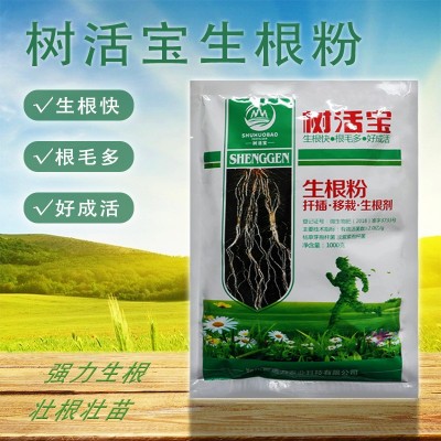 树挪活生根粉快速大树生根剂植物生根液绿植扦插移栽果树发根液