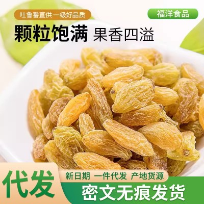 新疆树上黄葡萄干吐鲁番特产批发代发500g 无核黄提子大颗葡萄干