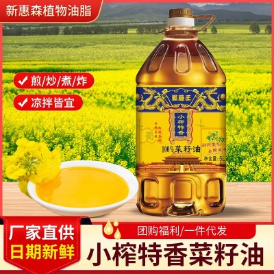 蜀藤王批发特香小榨压榨香菜籽油5L优质大桶食用油家用商用油四川