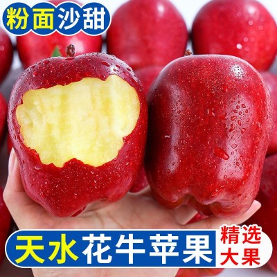 【超低价】甘肃天水花牛苹果可刮泥粉面蛇果辅食水果新鲜10斤装